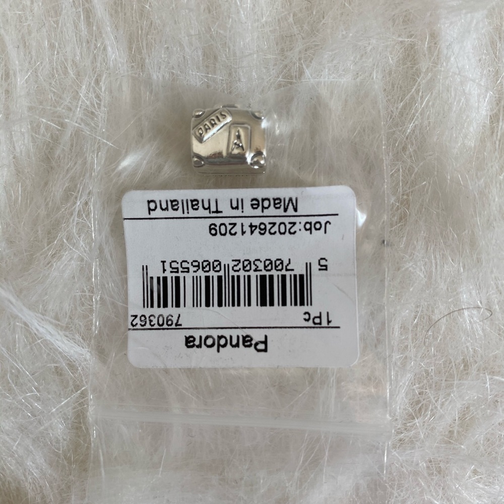 Pandora Paris Charm
